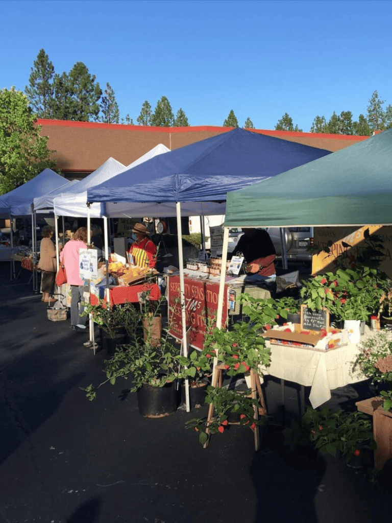 Colorful outdoor farmers market with vendor tents and fresh produce in sunny setting.