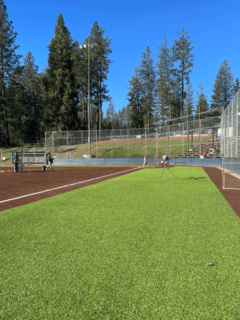 Bright outdoor baseball field with green grass, surrounded by tall trees and clear blue sky.