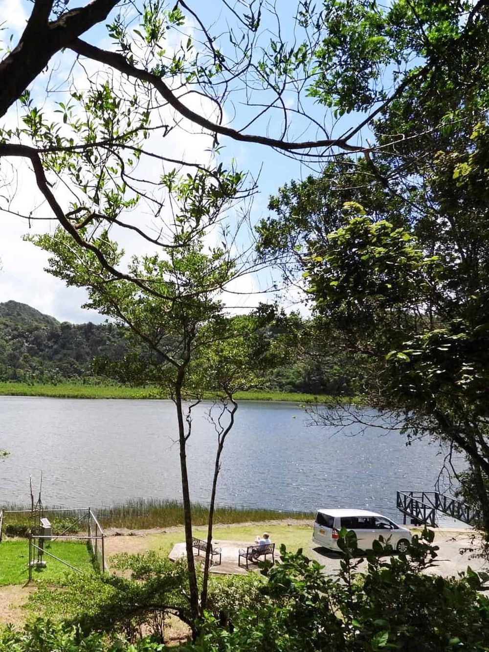 Tranquil lakeside park with trees, benches, and a boat dock, perfect for outdoor activities and nature relaxation.