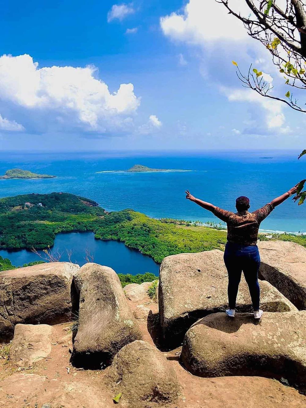 Breathtaking view of ocean and lush landscape from a scenic viewpoint with a person enjoying nature.