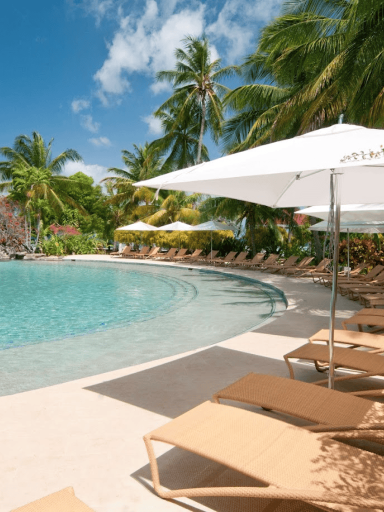 Relaxing tropical poolside with palm trees and sun umbrellas, perfect for vacation and leisure.