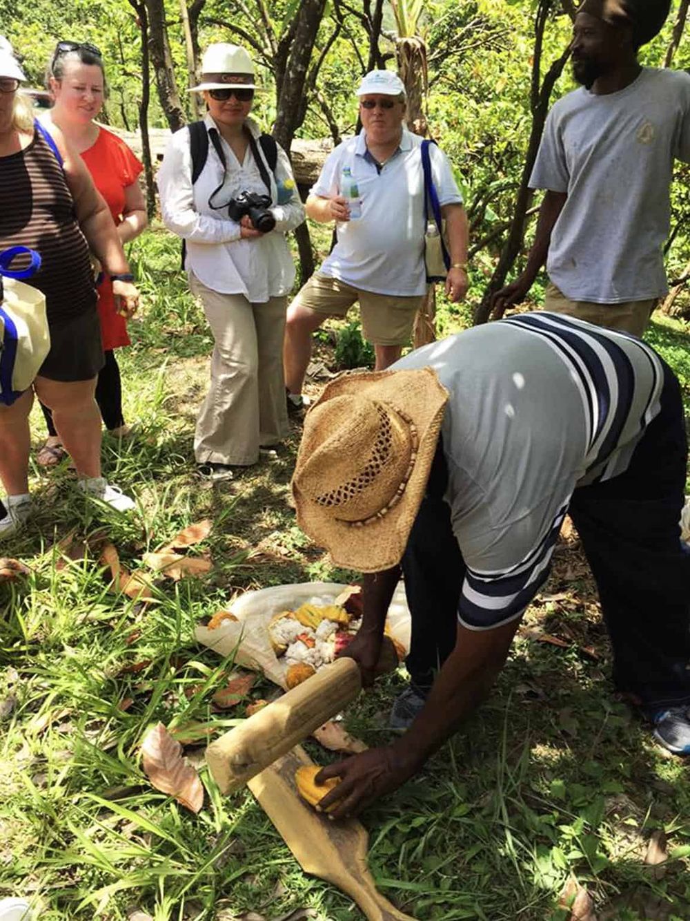 Guided nature tour with local expert, showcasing tropical rainforest flora and cultural traditions. Adventure travel for nature lovers.