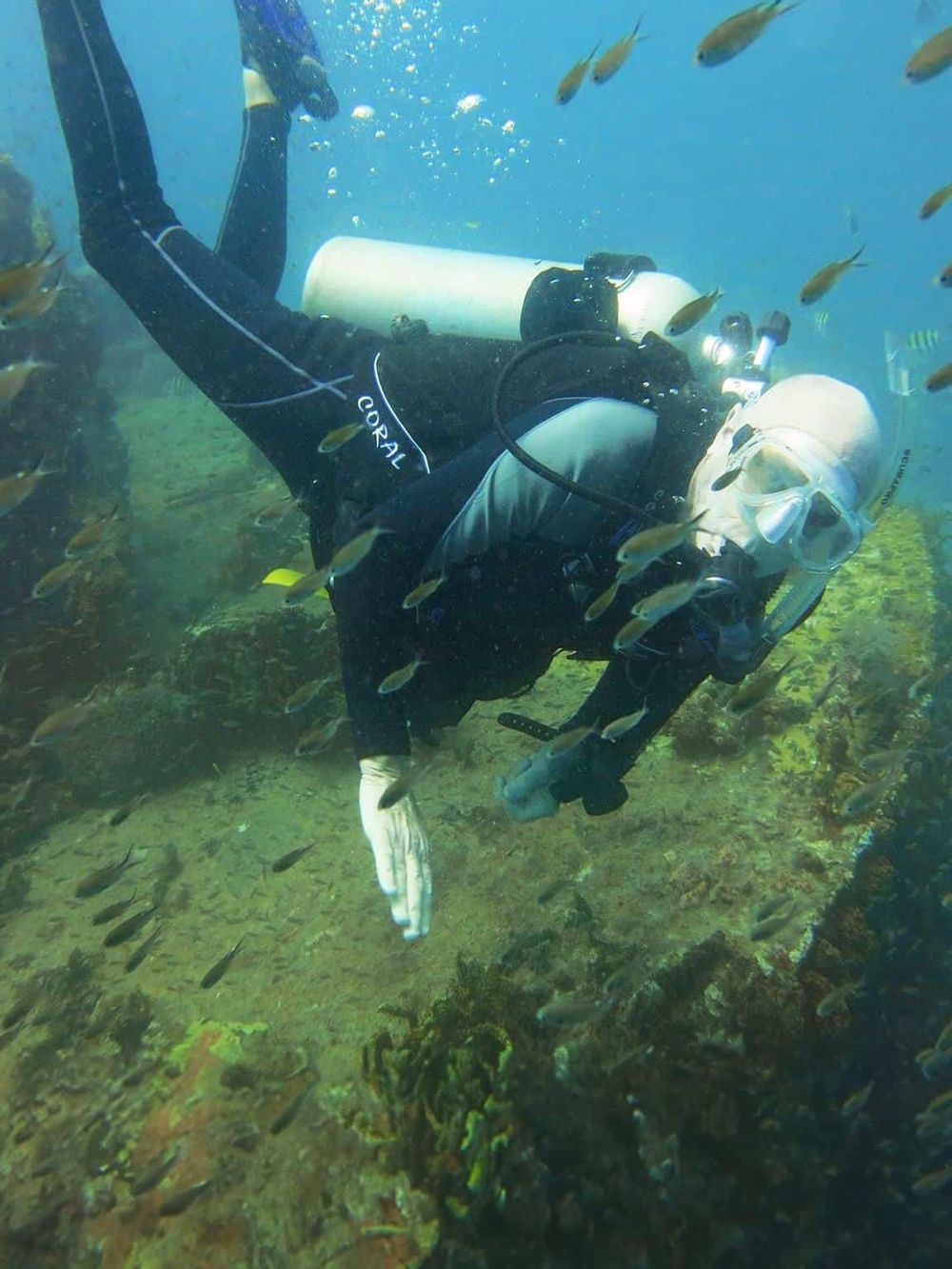 Scuba diver exploring underwater coral reef with tropical fish, adventures in underwater exploration.