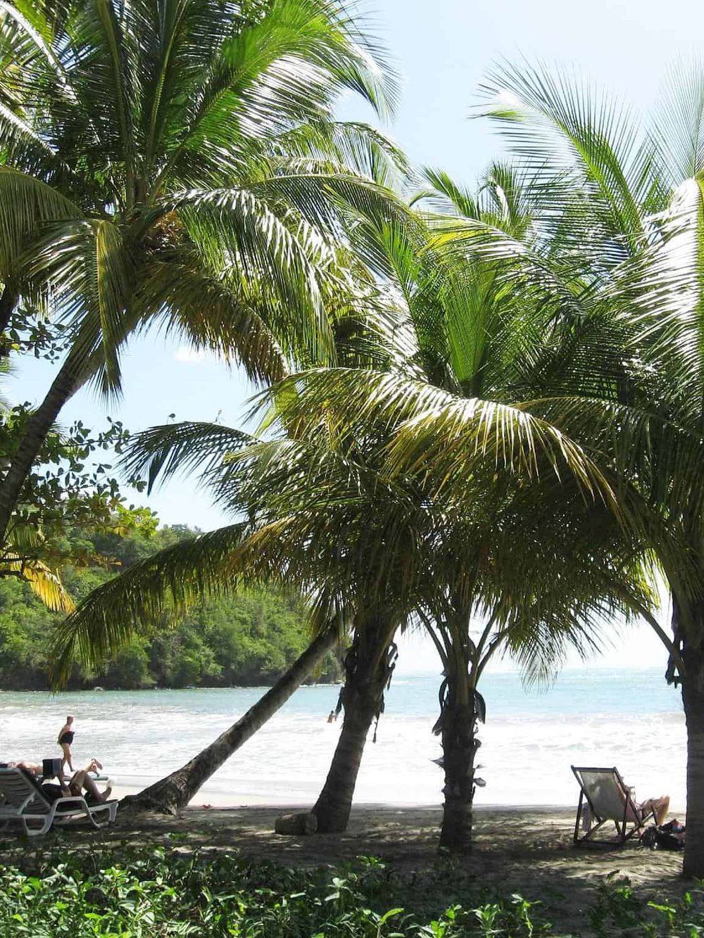 Lush tropical beach with palm trees, sun loungers, and ocean view for a relaxing vacation.