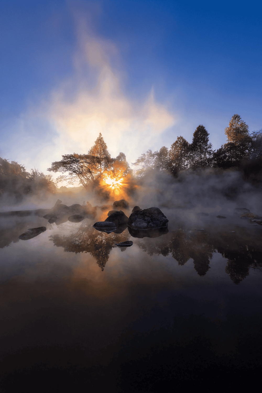 Serene geothermal hot springs surrounded by lush trees at sunrise.