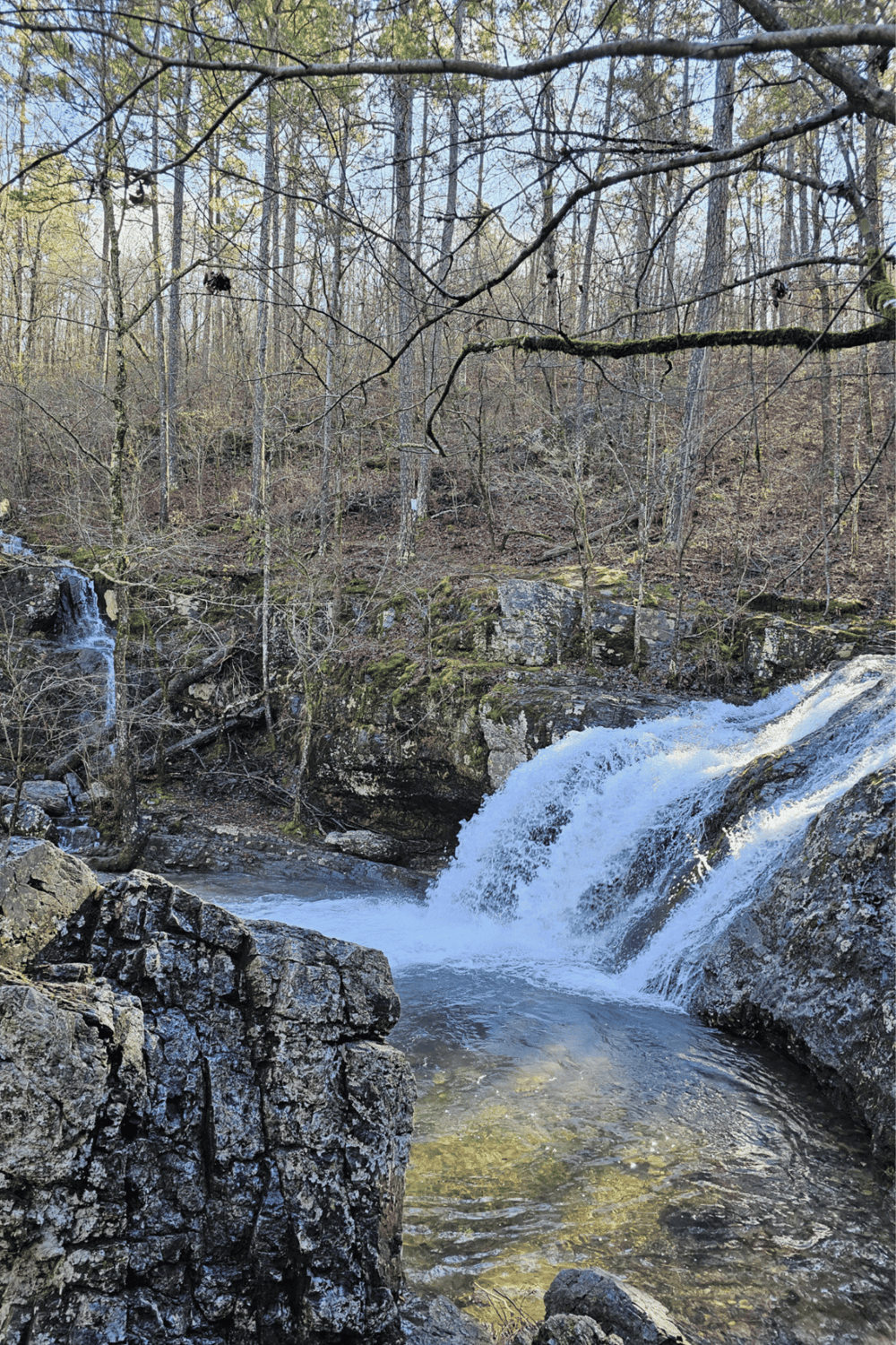 Serene woodland waterfall, natural outdoor scenery, forest with flowing water, peaceful nature scene for Adventure seekers.