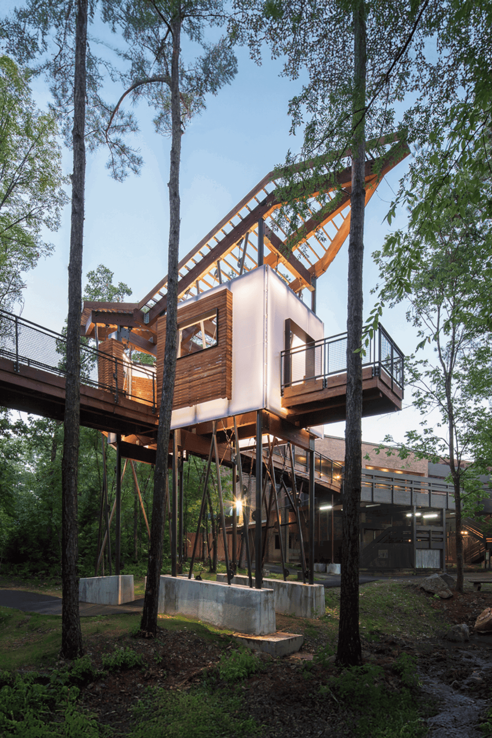 Modern treehouse with unique architectural design in lush forest setting.