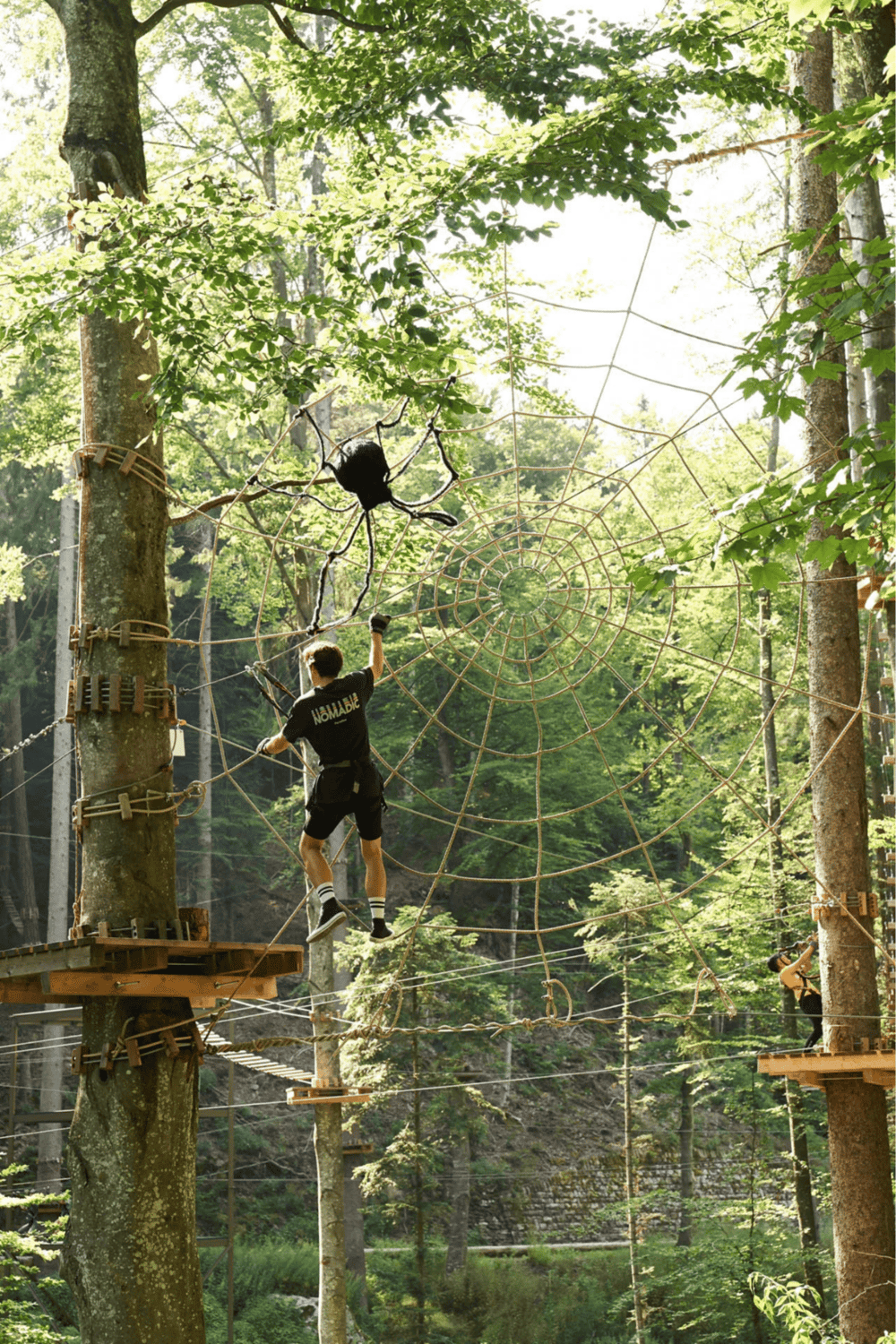 1. Rope course adventure with large spider web structure among tall trees in forest.