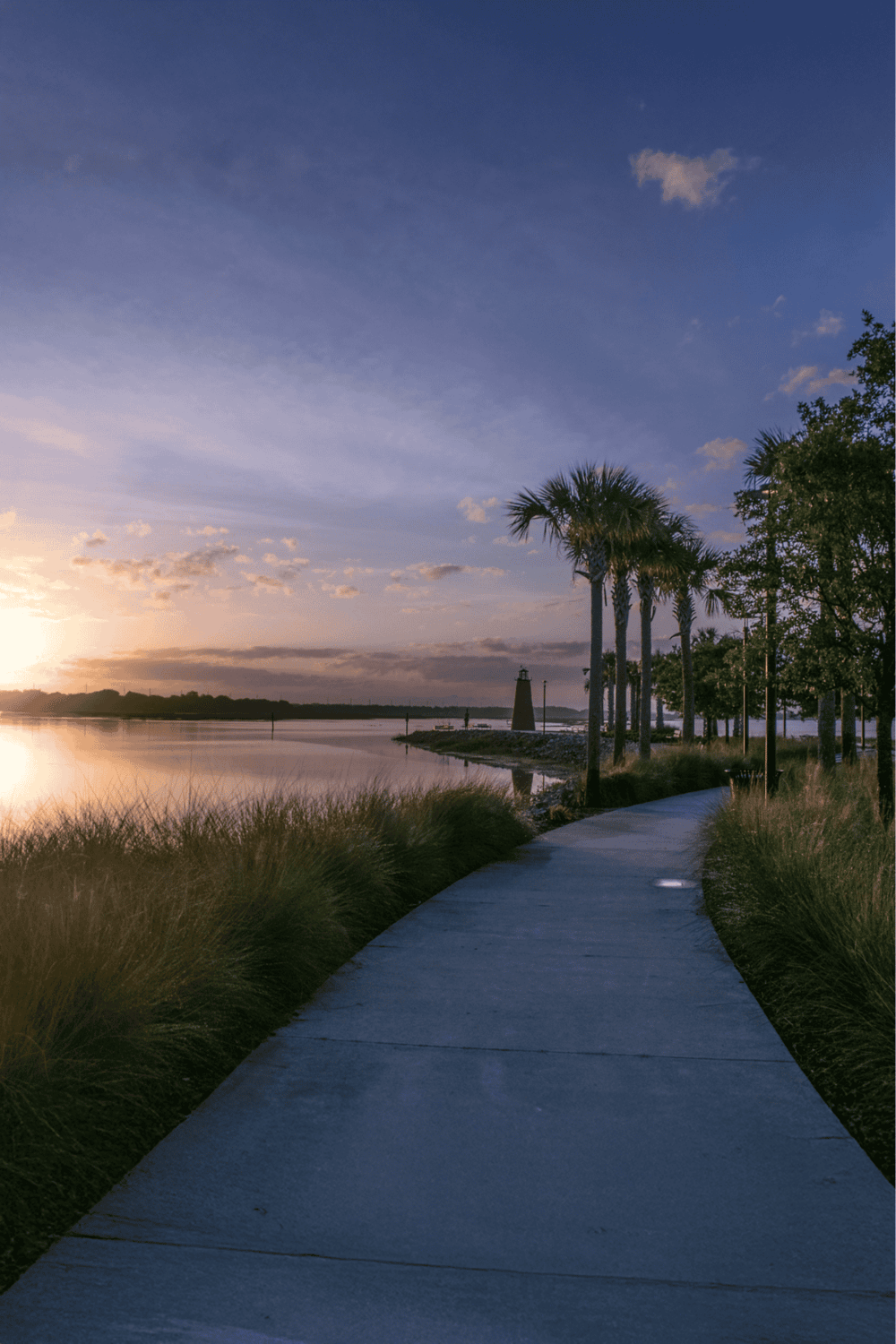 Tranquil waterfront walking path near palm trees during sunset, perfect for outdoor exploration and relaxation.