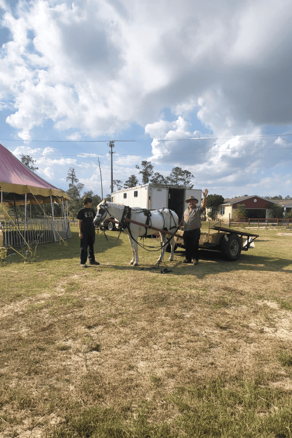 Horse-drawn carriage with equine transport, rural outdoor event, people on farm, Texas-themed scene.