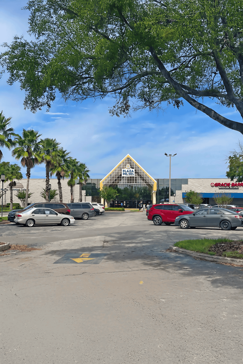 1. Parking lot outside Plaza del Sol shopping mall with cars and palm trees.