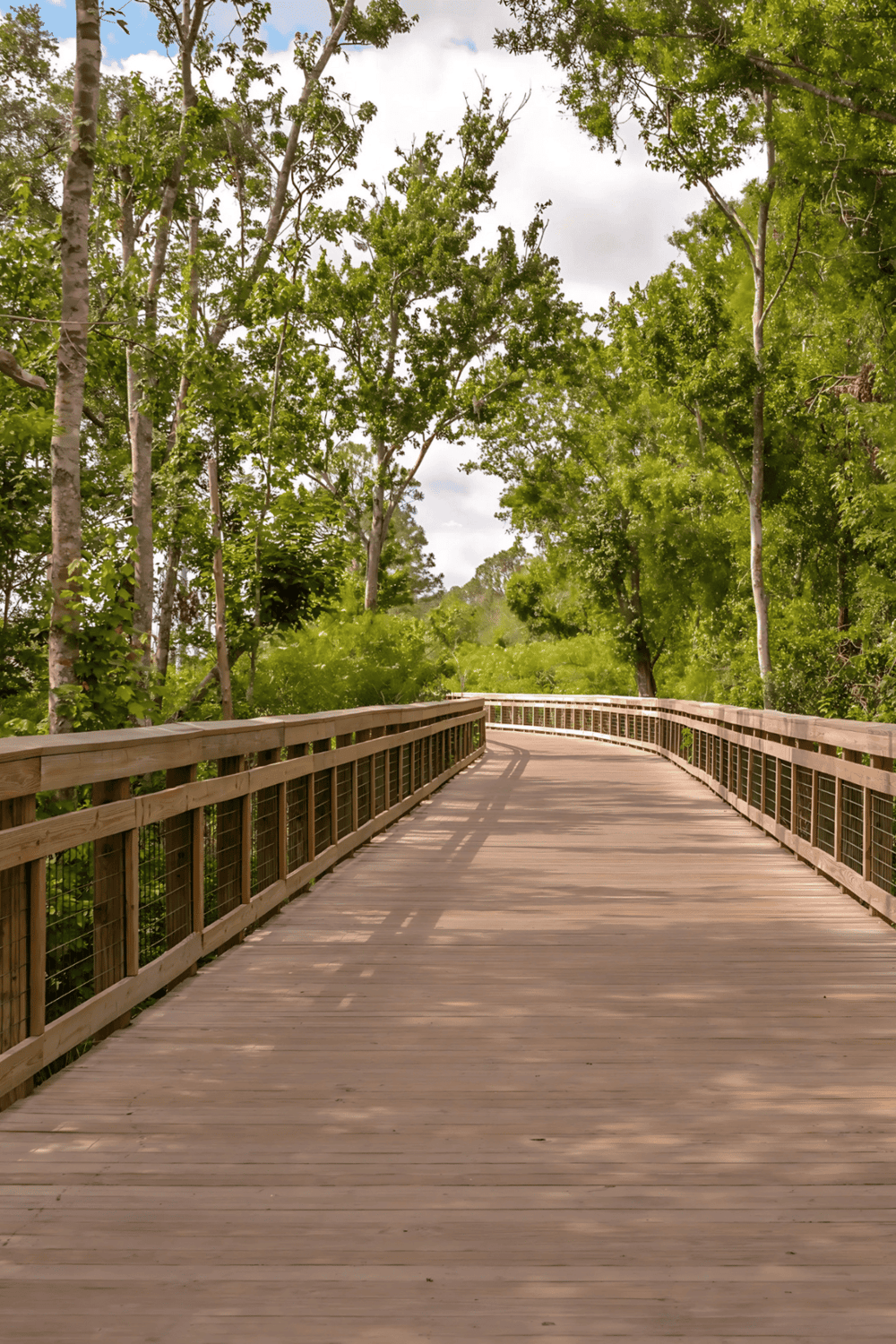 Wooden community boardwalk through lush green forest.