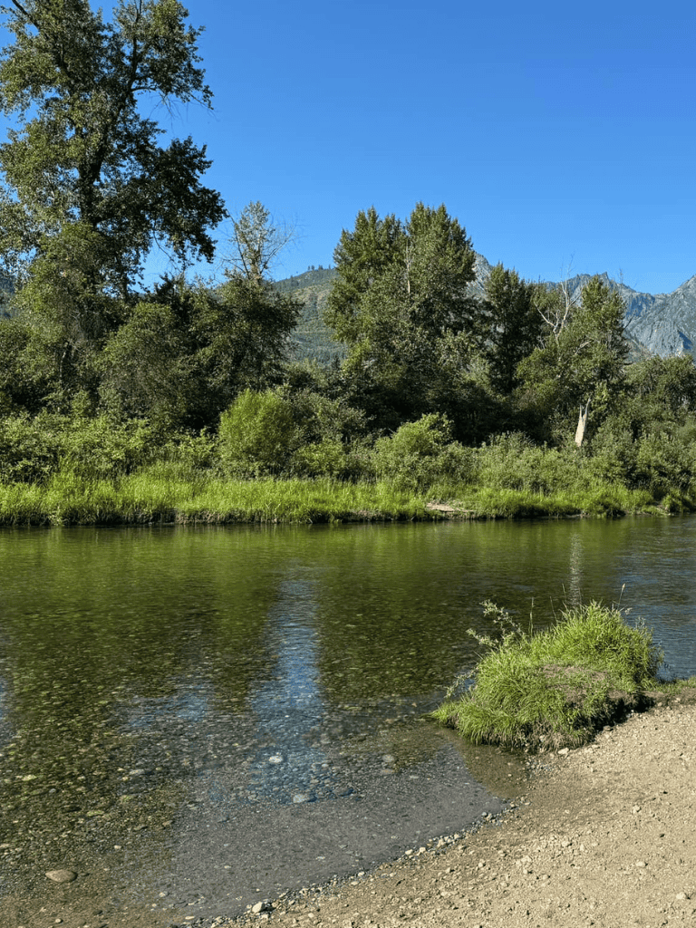 Bright river with lush green trees and mountain backdrop on clear sunny day.
