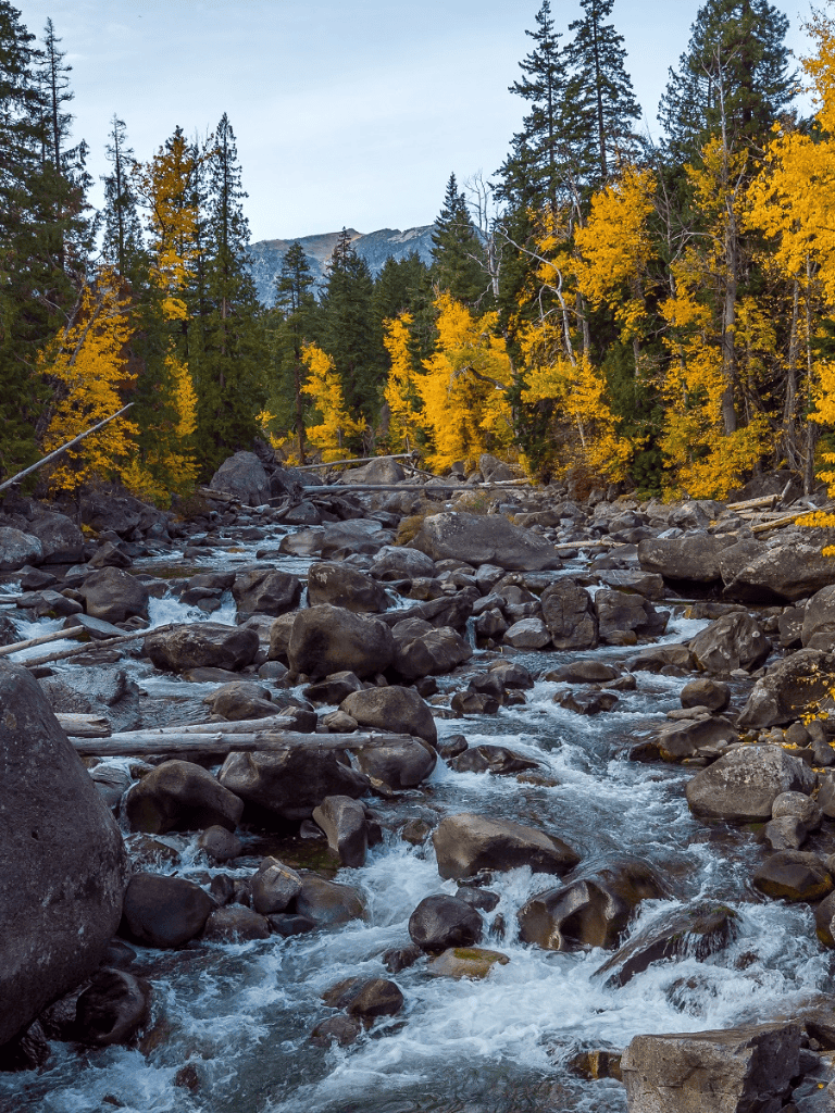 Snow-capped mountains and vibrant fall foliage along flowing mountain stream in wilderness setting.