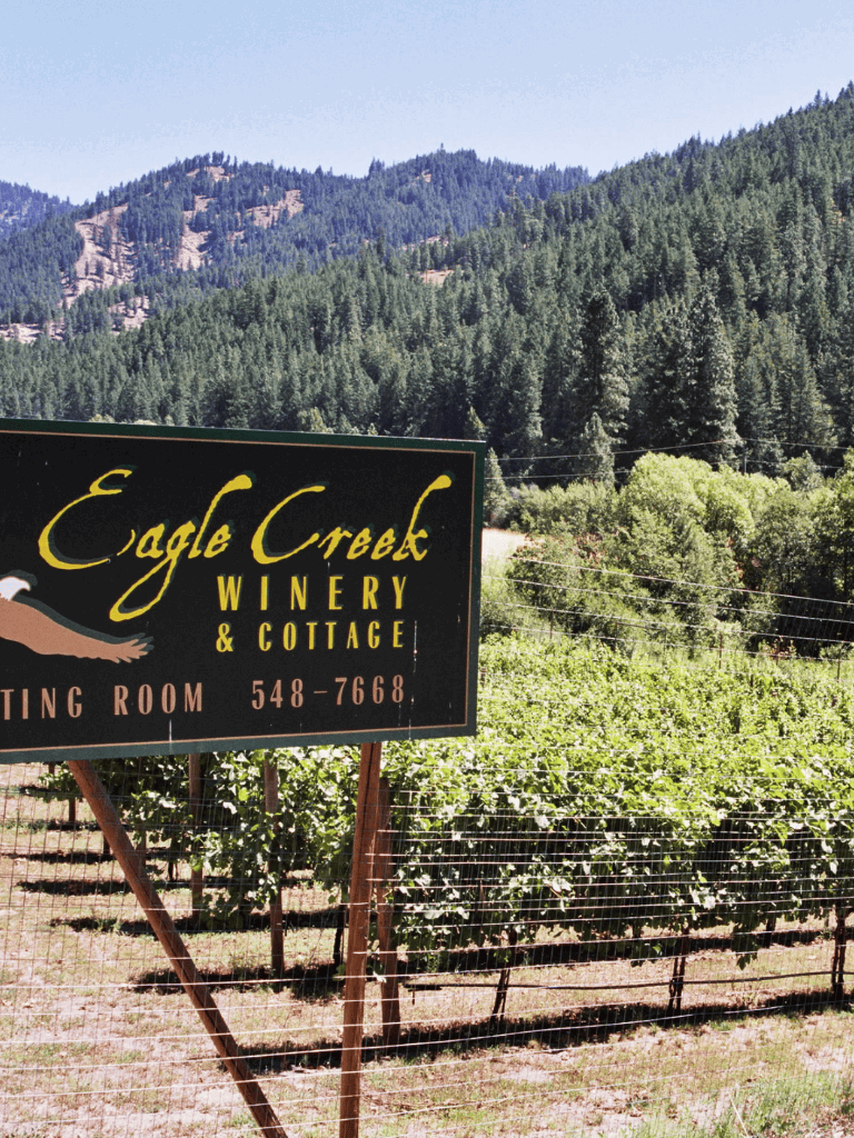 Eagle Creek Winery vineyard with scenic mountain background, inviting for wine tasting experiences.