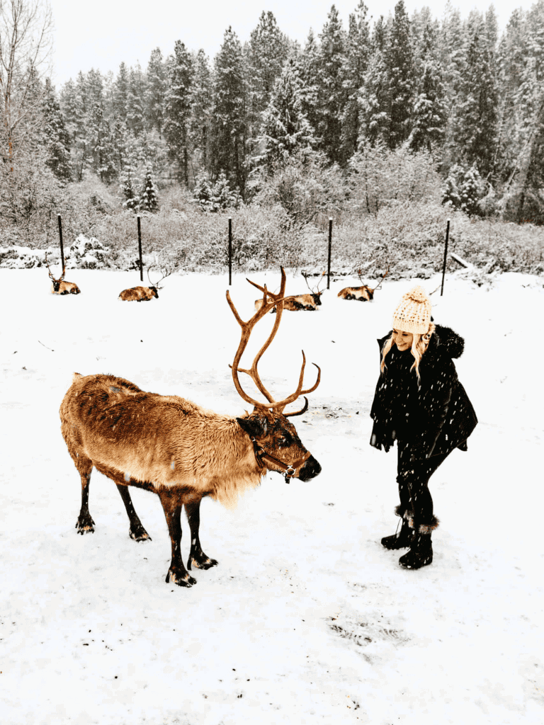 Majestic reindeer in snowy landscape with a girl, winter adventure, and nature exploration.