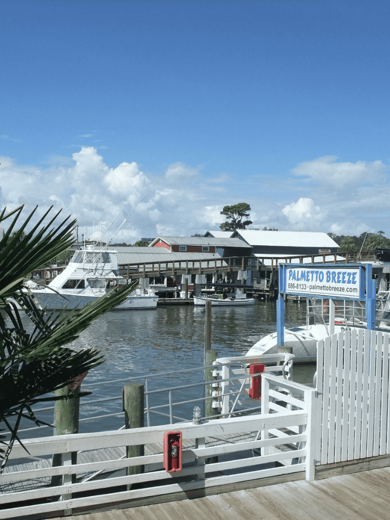 Calm waterfront scene with boats docked at Palmmetto Breeze ferry terminal.