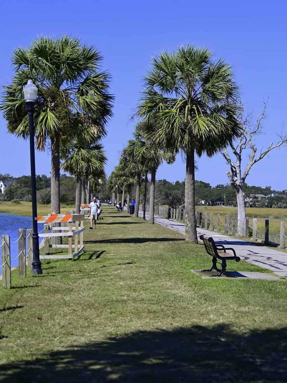 Palm trees along scenic waterfront walkway with benches and walking visitors, perfect for outdoor relaxation and riverside walks.