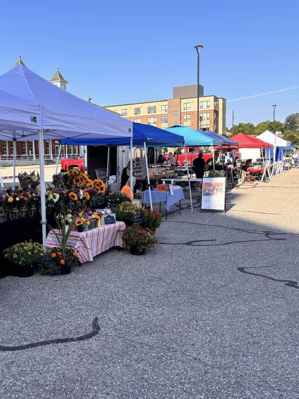 Colorful outdoor farmers market with flower stalls and vendor tents, vibrant community event in progress.