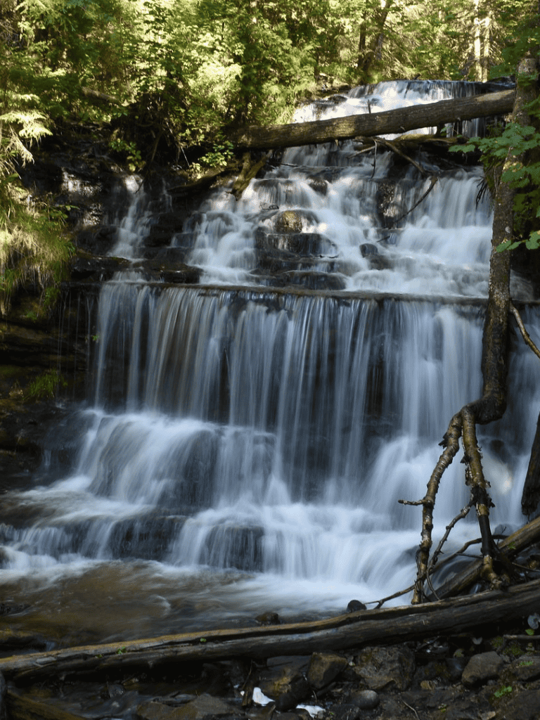 Tranquil waterfall in lush green forest, nature scenery with flowing water and vibrant foliage.