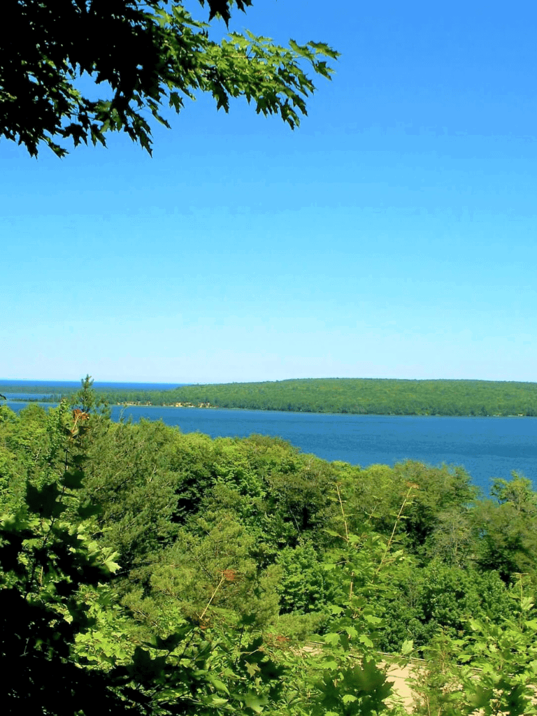 Vibrant green trees and a serene blue lake under a clear sky at Quest for Directions.