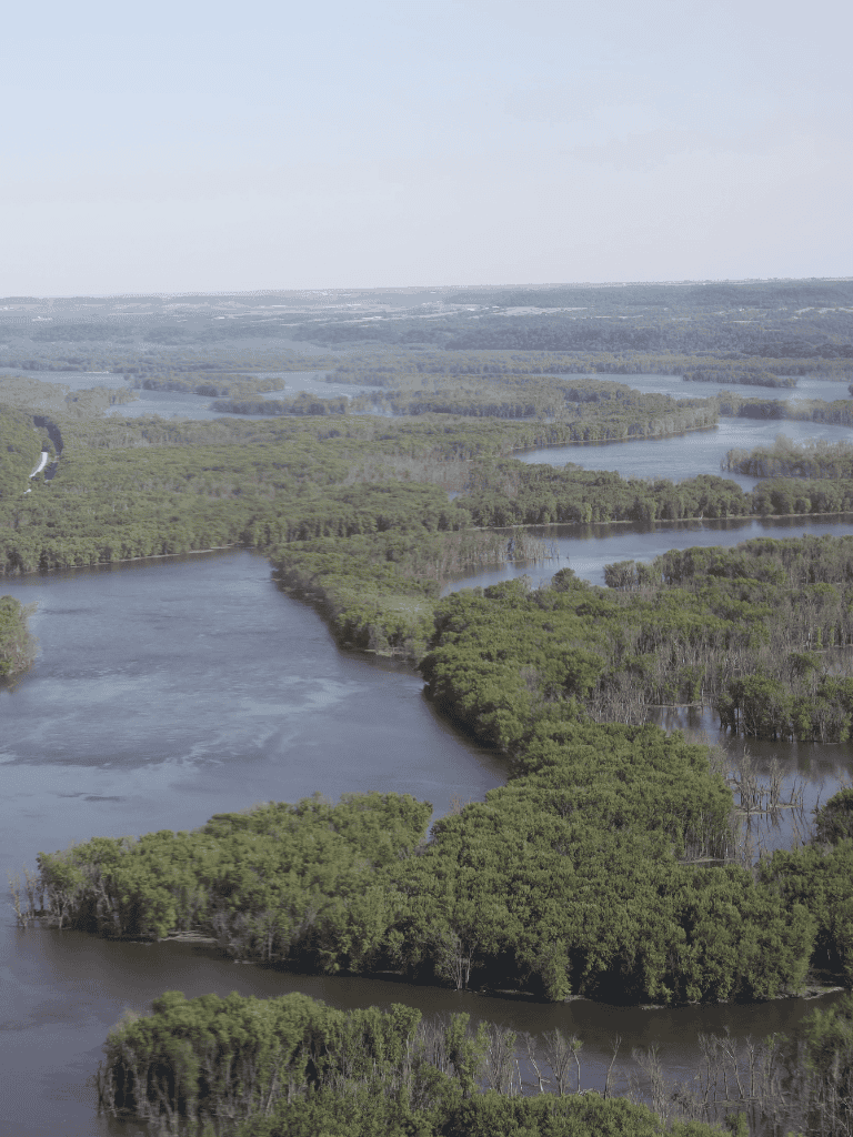 Lush green wetlands with winding water channels under a clear sky, ideal for nature and navigation exploration.