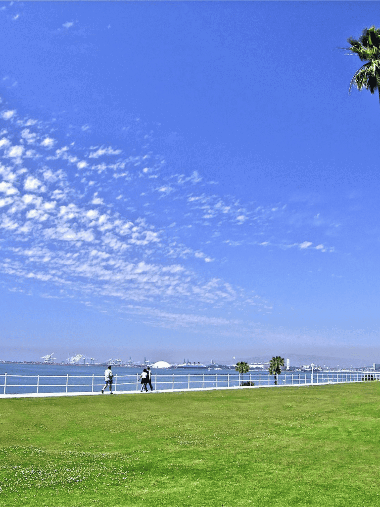 Vibrant seaside park with ocean view, palm trees, and walking paths for outdoor exploration and relaxation.