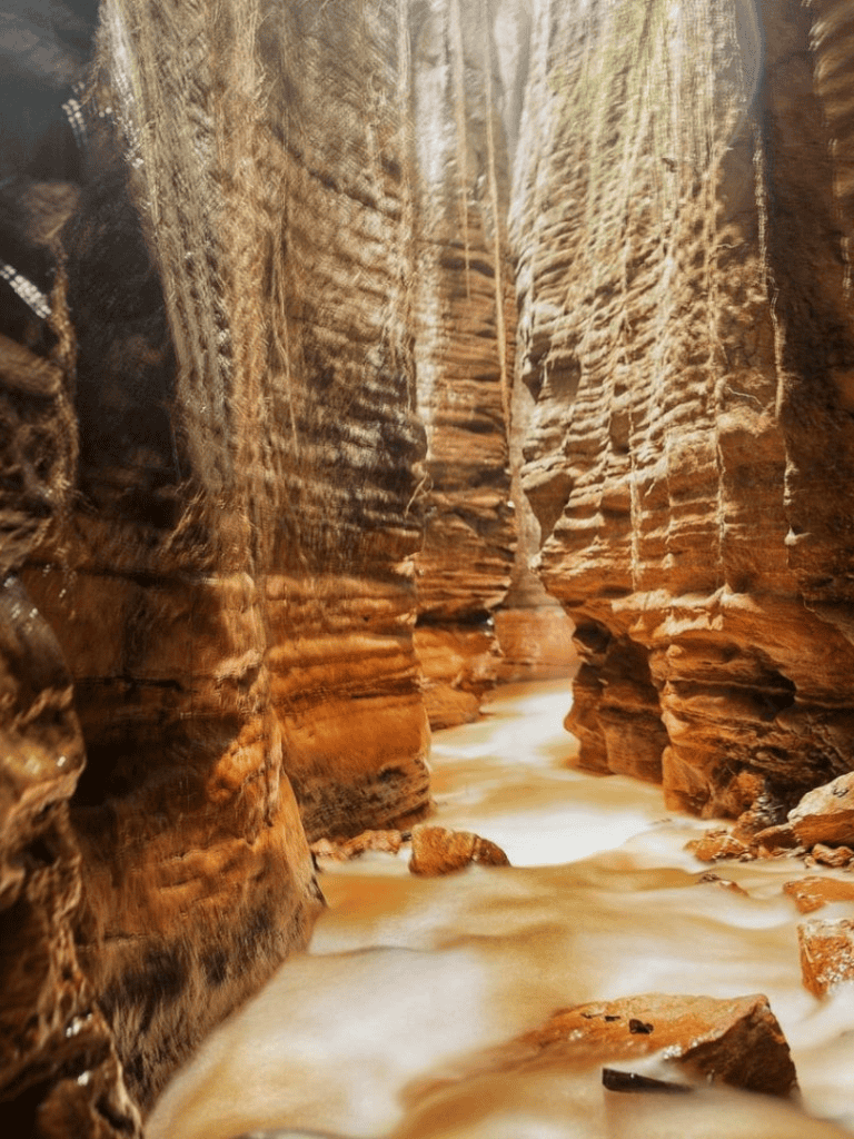 Breathtaking slot canyon with flowing water and layered sandstone formations.