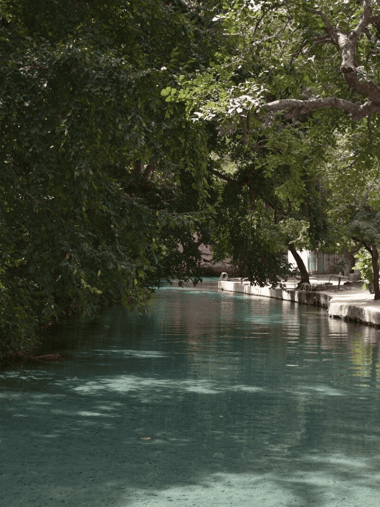Serene wooded canal with lush green trees and calm water, perfect for nature exploration.