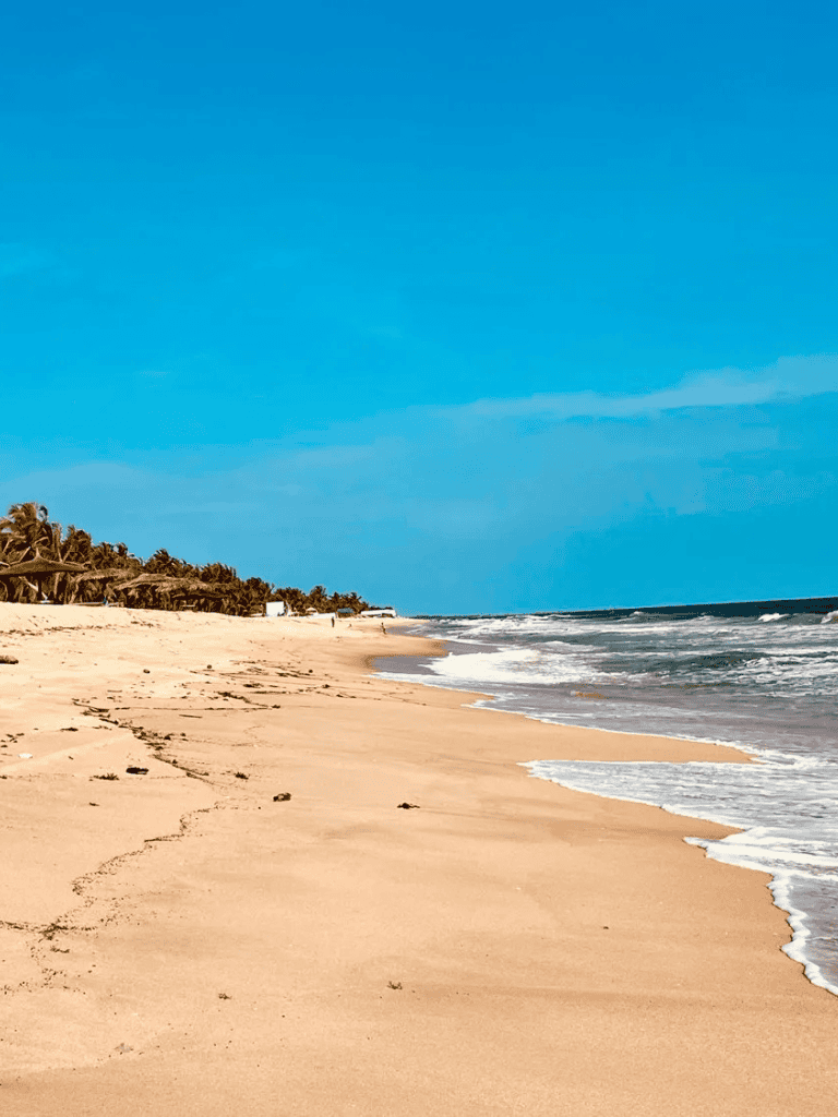 Serene beach with golden sand and clear blue sky, perfect for coastal travel and beach destinations.