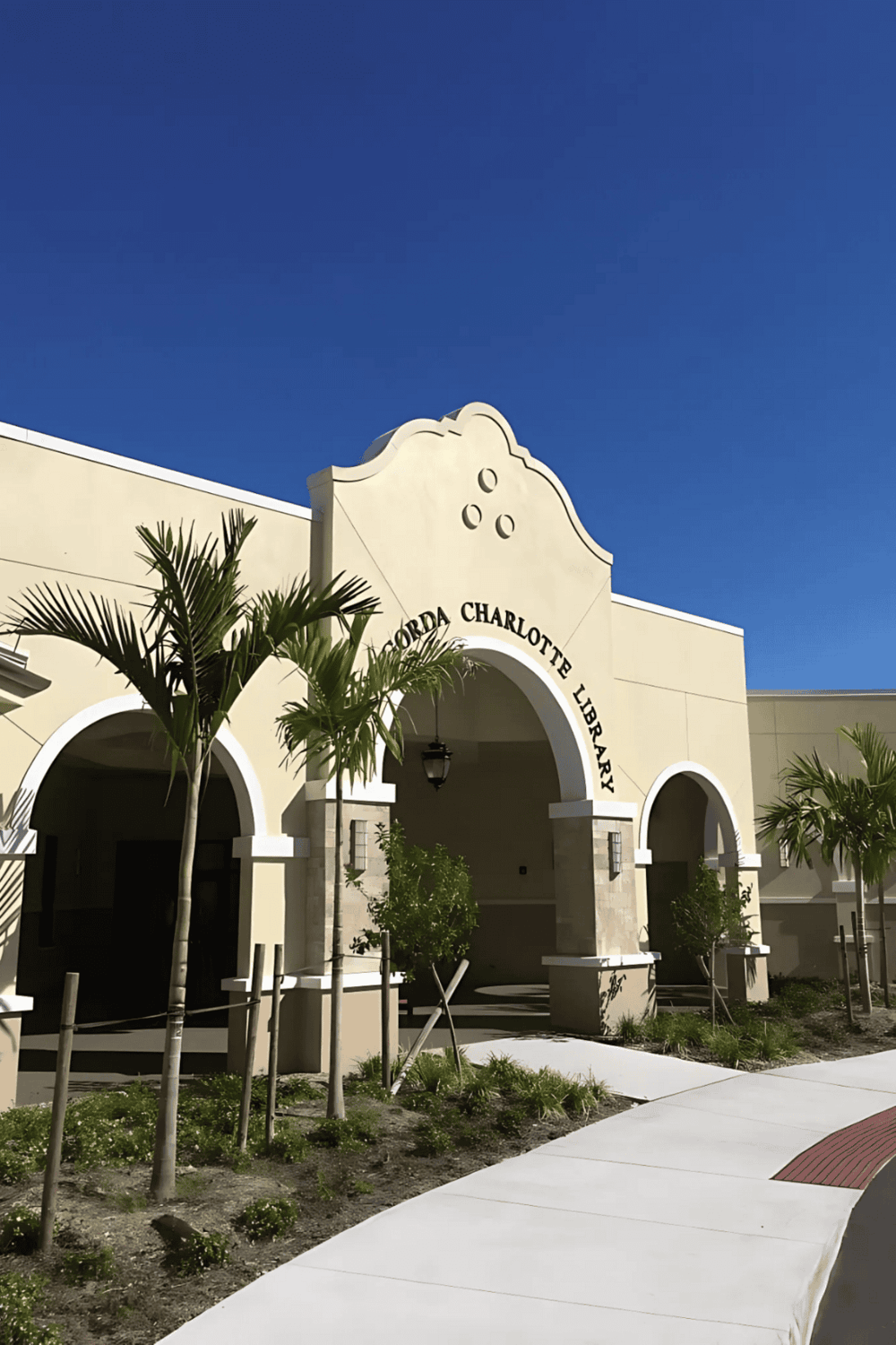 Modern Charlotte Library building exterior with palm trees, clear blue sky, and inviting entrance.