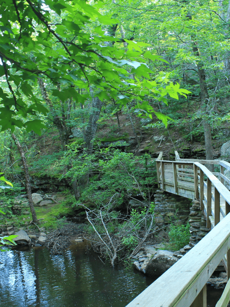 Serene forest trail with wooden bridge over creek, nature, hiking, adventure, scenic outdoor pathway.