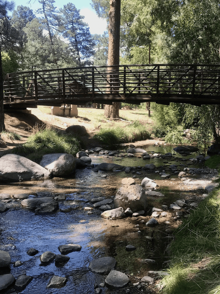 Quiet creek with rocks and wooden bridge in forest scenery, perfect for nature walks.