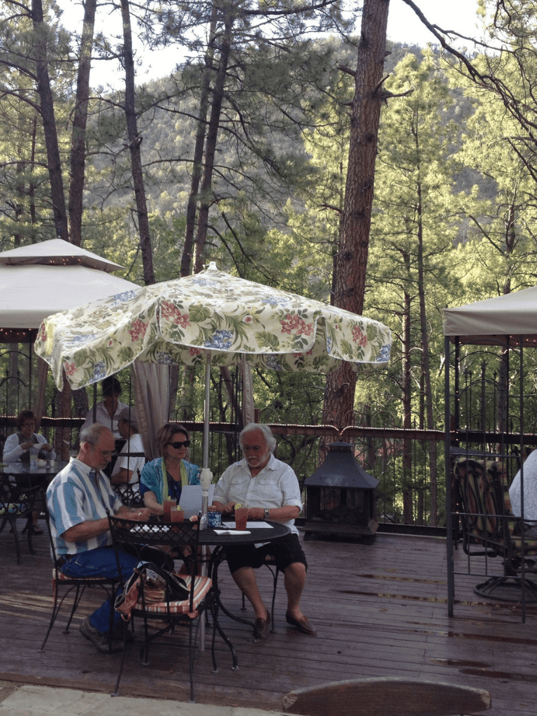 Relaxing outdoor dining experience in lush forest setting with friends.