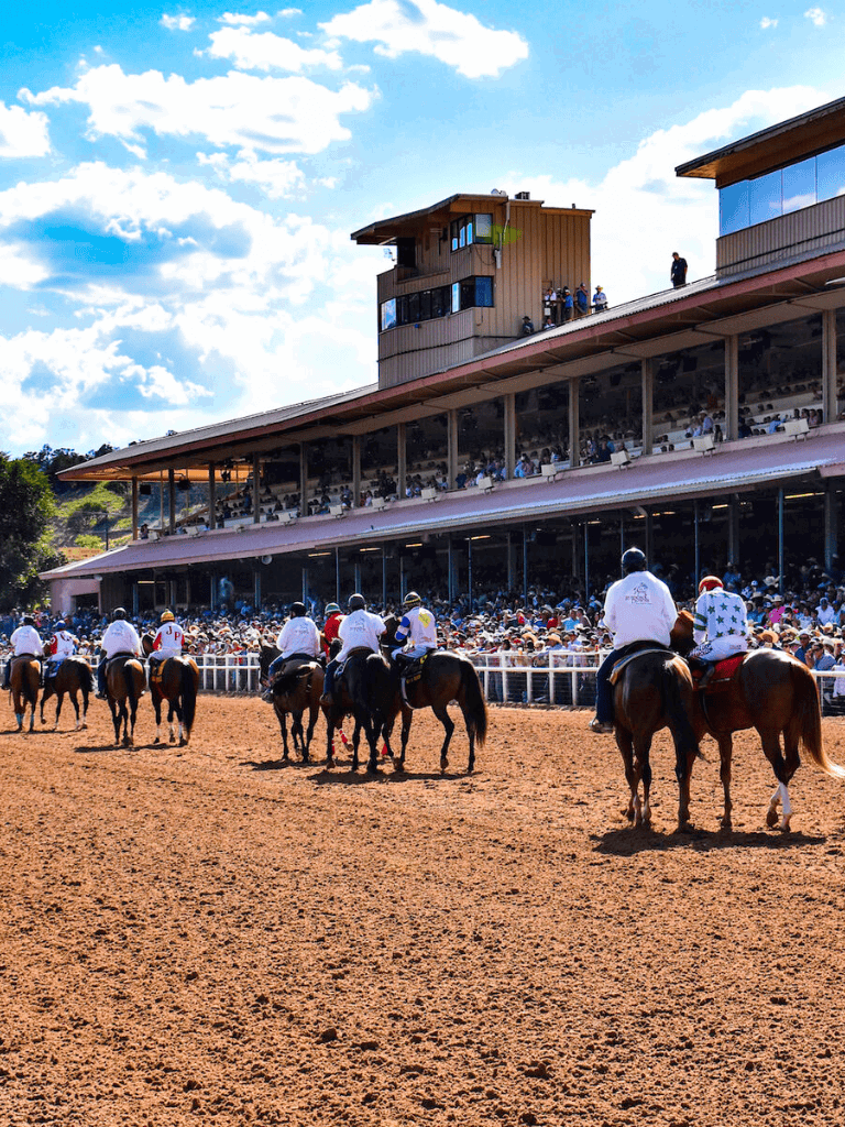 Spectators watch horse racing at Quest For Directions, a premier horse racing venue and social event destination.