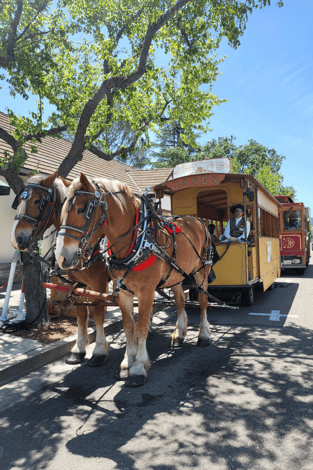 Colorful horse-drawn trolley for guided city tours with lush greenery and bright sky.