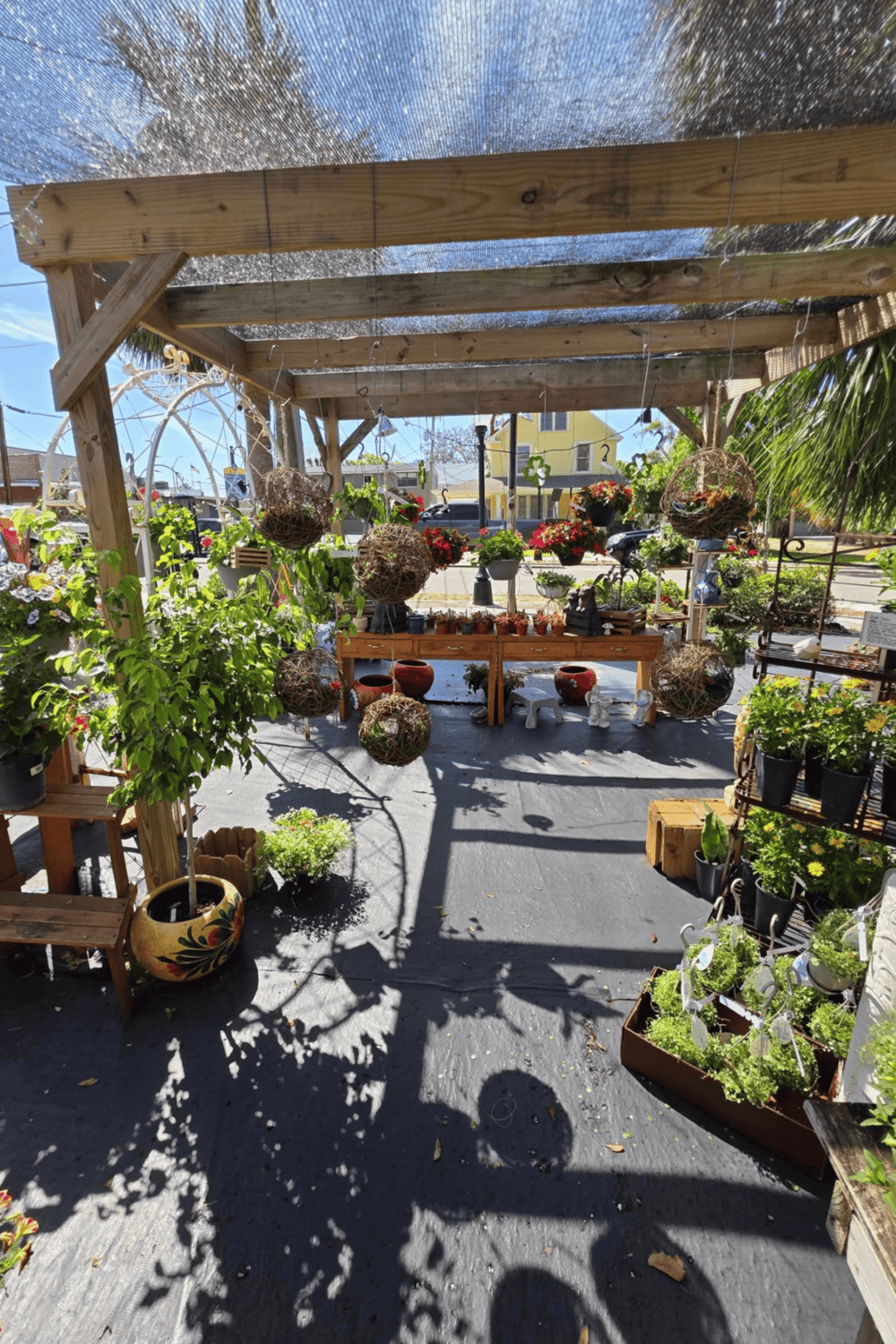 Colorful plant nursery with hanging baskets and potted plants at Quest For Directions.