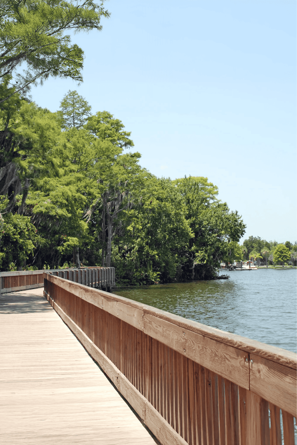 Serene lakeside view with wooden boardwalk, lush green trees, and clear blue sky, perfect for outdoor exploration.