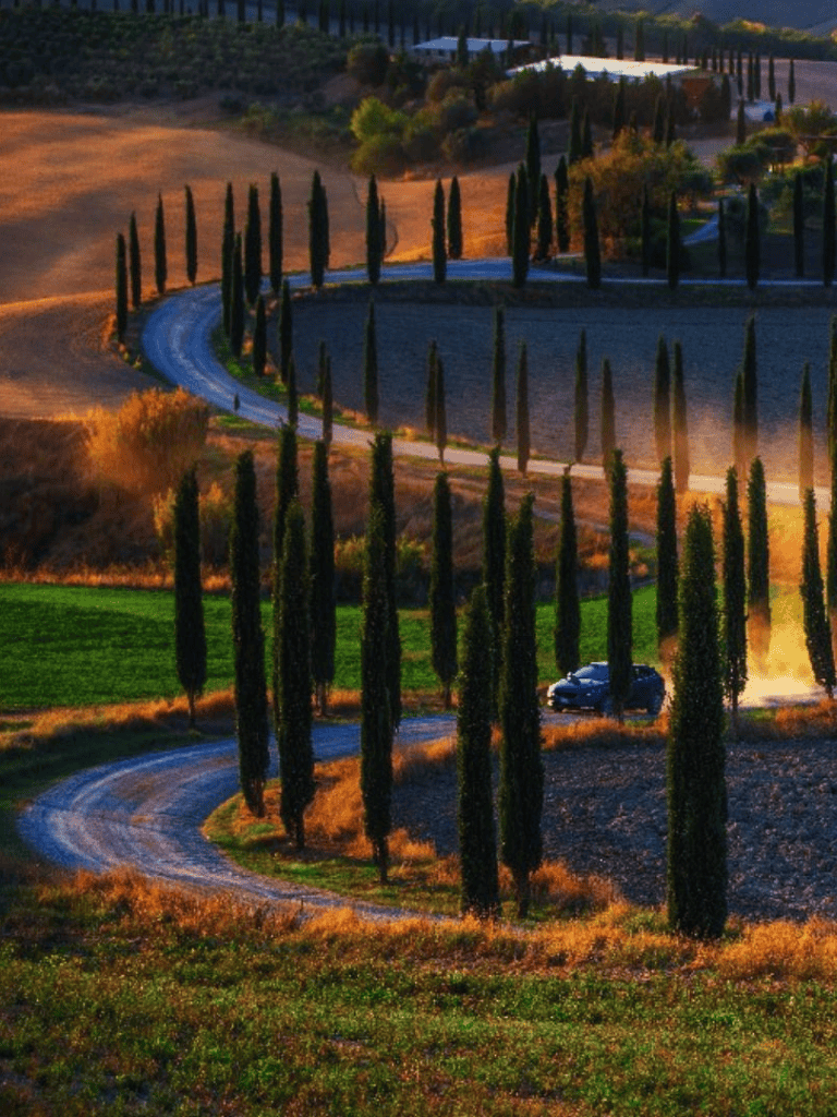 Serene landscape of winding road through Tuscany with cypress trees at sunset.