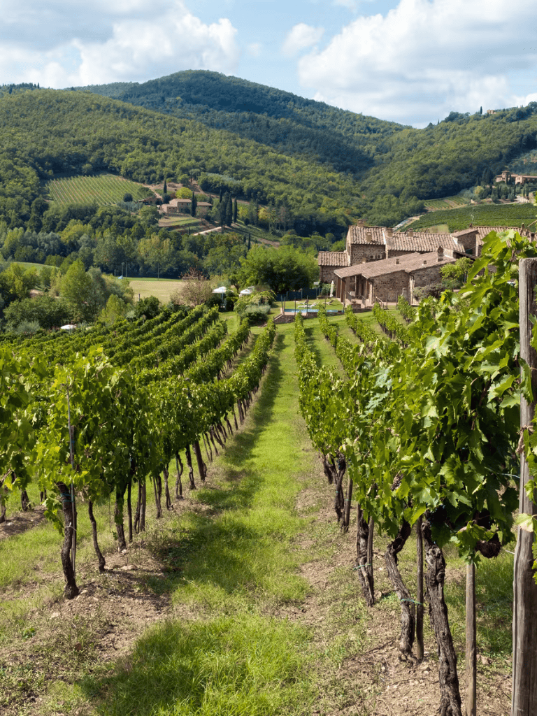 Vineyard in Tuscany with rolling hills and rustic farmhouses, ideal for wine tasting and scenic tours.