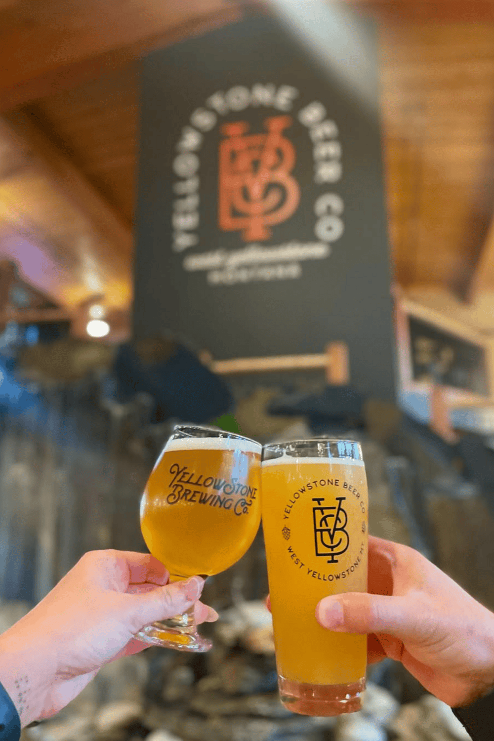 Craft beer tasting at Yellowstone Brewing Co., warm indoor pub setting with hands holding glasses.