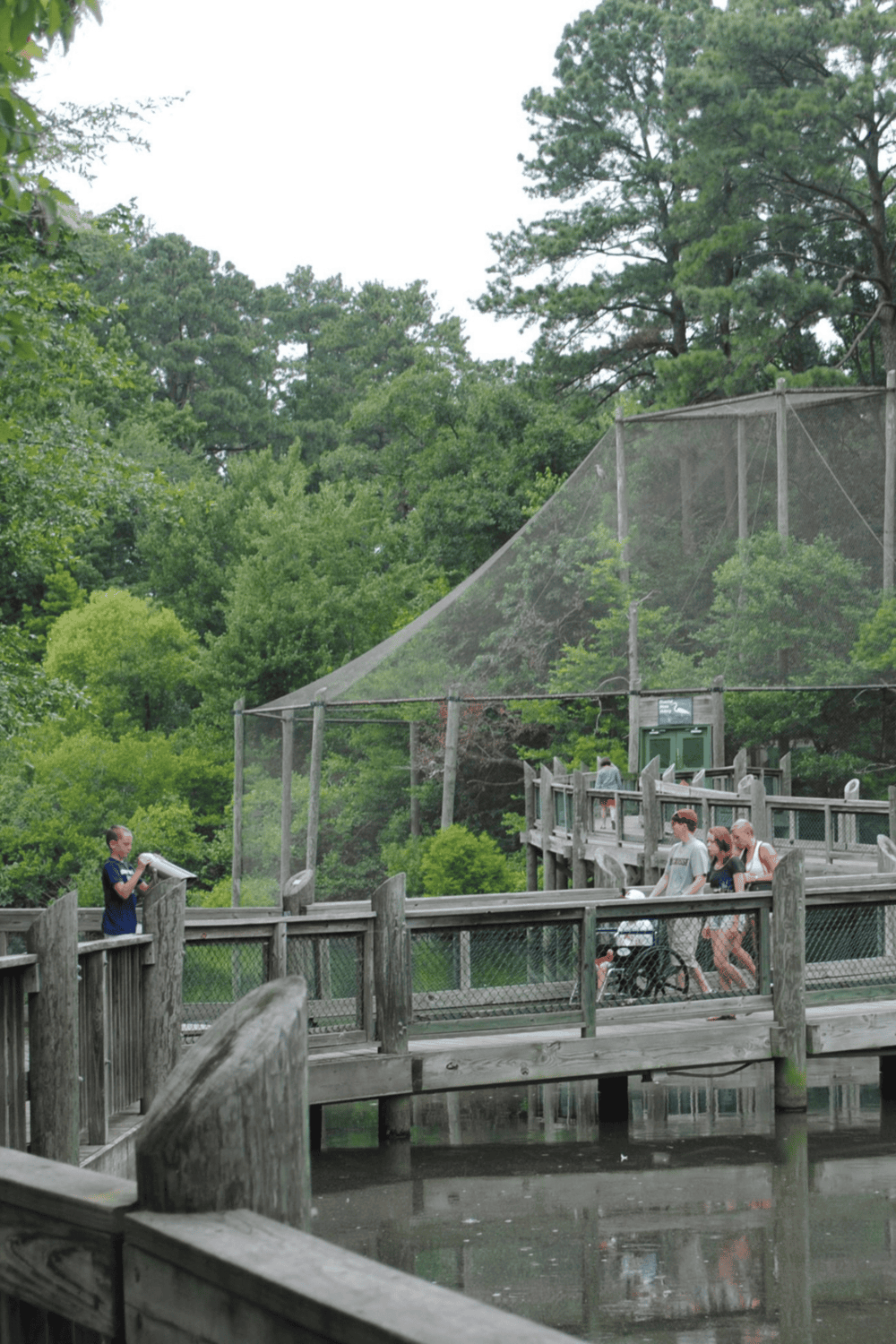 Kids birdwatching at a nature reserve boardwalk with lush green trees and wildlife viewing areas.