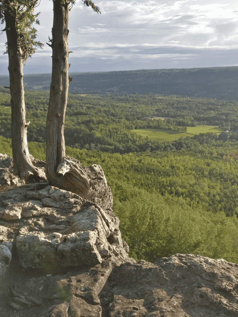 Breathtaking view of lush green forest and rolling hills from a scenic overlook in Oklahoma.