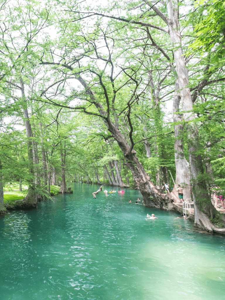 Tranquil river with swimmers and lush green trees, perfect for outdoor recreation and nature adventures.