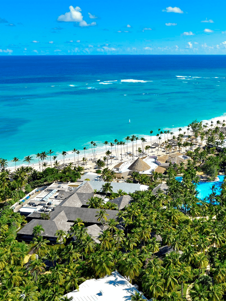 Luxurious beachfront resort with palm trees and turquoise waters.