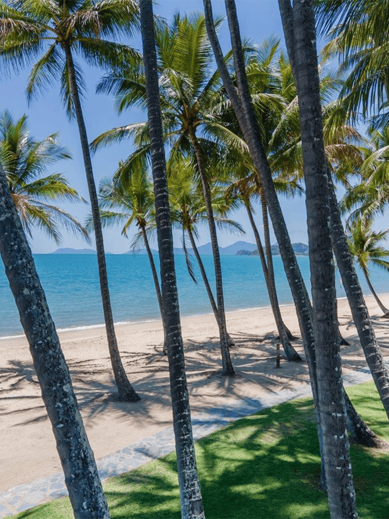 Tranquil beach scene with tall palm trees, sandy shore, and ocean views at QuestForDirections.