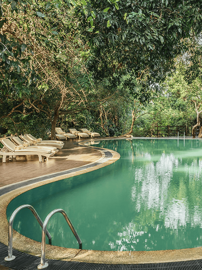 Serene outdoor swimming pool surrounded by lush greenery and sun loungers in a tropical resort.