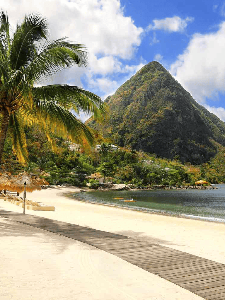 Palm trees on sandy beach with mountain in background, tropical getaway in St. Lucia.