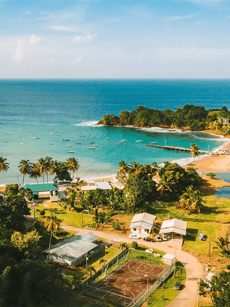 Beautiful tropical beach with lush greenery, clear blue waters, and recreational facilities at QuestForDirections.
