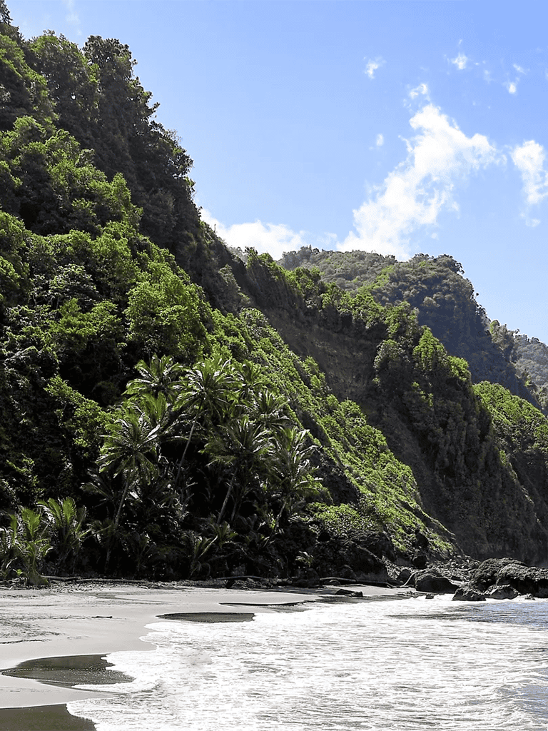 Lush green tropical mountains overlooking a serene sandy beach and ocean waves.
